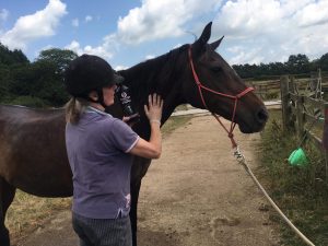 Hoofbeats Equine Rehabilitation Sanctuary