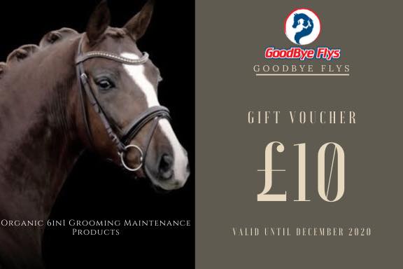 £10 Goodbye Flys Gift Voucher