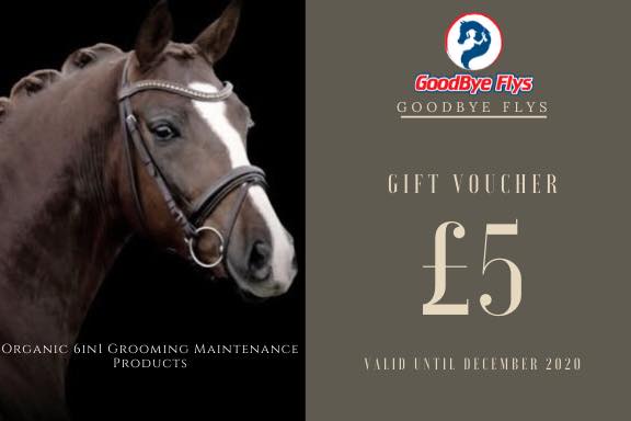 £5 Goodbye Flys Gift Voucher